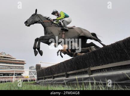 La Gold Cup Hennessy a Newbury 28/11/09. Il vincitore Ruby Walsh su Denman at the Water. IMMAGINE DAVID ASHDOWN Foto Stock