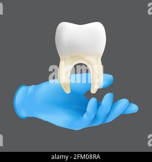 Mano dentista che indossa guanto chirurgico protettivo blu che tiene un modello ceramico del dente. rappresentazione vettoriale 3d realistica di ossa e tessuto molle gra Illustrazione Vettoriale