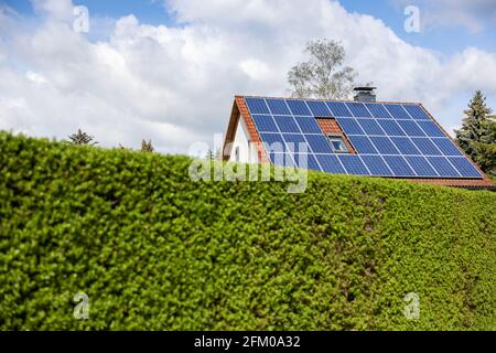 Lipsia, Germania. 03 maggio 2021. Una casa singola con celle solari sul tetto si erge dietro una siepe verde. Credit: Jan Woitas/dpa-Zentralbild/ZB/dpa/Alamy Live News Foto Stock