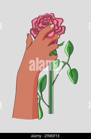 Una mano femminile tiene la testa di una bella rosa. Illustrazione vettoriale isolata su sfondo grigio con un tratto di linea continuo Illustrazione Vettoriale