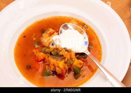 Halaszle, zuppa ungherese di pescatori o stufato di pesce con carpa, peperoni, paprika e panna acida Foto Stock