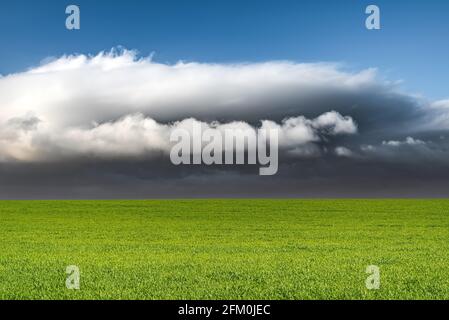 Vista panoramica dell'erba verde sul campo con cielo blu e sfondo di nuvole scure Foto Stock