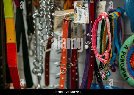 Negozio di animali. Accessori e forniture per cani e gatti su animali Supermarket Shelf. Giocattoli multicolore, Leashes, collari, imbracature per cani e gatti Foto Stock