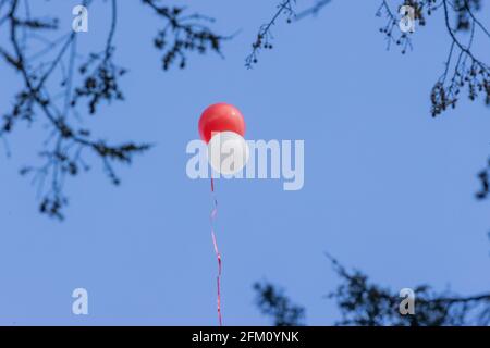 Colonia, Germania. 05 maggio 2021. 05 maggio 2021, Renania Settentrionale-Vestfalia, Colonia: Palloncini in rosso e bianco salgono nel cielo al servizio funebre di Willi Herren al cimitero di Melaten. L'attore e cantante Willi Herren morì il 20 aprile. Credit: dpa Picture Alliance/Alamy Live News Foto Stock