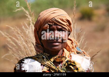Donna tribale di Batra dal villaggio di Kotpadu in Odisha che raccoglie l'erba della scopa, che posa per la macchina fotografica al villaggio di Bondaguda, Araku, Andhra Pradesh, India Foto Stock