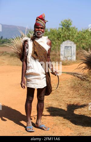 Vecchio uomo tribale dal villaggio di Kotpadu, Odisha che raccoglie l'erba della scopa, posando per il villaggio di Bondaguda della macchina fotografica, Araku, Andhra Pradesh, tribù DI BATRA dell'India Foto Stock