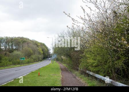 Wendover, Regno Unito. 4 maggio 2021. Vista degli alberi lungo la A413. Grandi aree di terreno sono attualmente in via di eliminazione di alberi e vegetazione intorno a Wendover nel Chilterns AONB in preparazione per il collegamento ferroviario ad alta velocità HS2, con alcuni lavori recentemente in corso dopo il buio. Gli attivisti contrari all'HS2 occupano il campo di resistenza attivo di Wendover accanto all'A413. Credit: Mark Kerrison/Alamy Live News Foto Stock