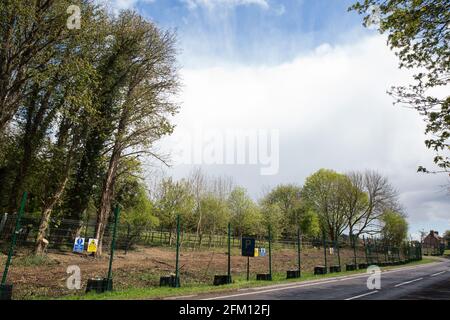 Wendover, Regno Unito. 4 maggio 2021. Vista degli alberi lungo la A413. Grandi aree di terreno sono attualmente in via di eliminazione di alberi e vegetazione intorno a Wendover nel Chilterns AONB in preparazione per il collegamento ferroviario ad alta velocità HS2, con alcuni lavori recentemente in corso dopo il buio. Gli attivisti contrari all'HS2 occupano il campo di resistenza attivo di Wendover accanto all'A413. Credit: Mark Kerrison/Alamy Live News Foto Stock