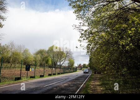 Wendover, Regno Unito. 4 maggio 2021. Vista degli alberi lungo la A413. Grandi aree di terreno sono attualmente in via di eliminazione di alberi e vegetazione intorno a Wendover nel Chilterns AONB in preparazione per il collegamento ferroviario ad alta velocità HS2, con alcuni lavori recentemente in corso dopo il buio. Gli attivisti contrari all'HS2 occupano il campo di resistenza attivo di Wendover accanto all'A413. Credit: Mark Kerrison/Alamy Live News Foto Stock