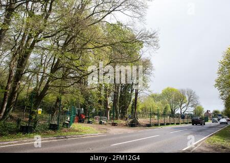 Wendover, Regno Unito. 4 maggio 2021. Vista degli alberi lungo la A413. Grandi aree di terreno sono attualmente in via di eliminazione di alberi e vegetazione intorno a Wendover nel Chilterns AONB in preparazione per il collegamento ferroviario ad alta velocità HS2, con alcuni lavori recentemente in corso dopo il buio. Gli attivisti contrari all'HS2 occupano il campo di resistenza attivo di Wendover accanto all'A413. Credit: Mark Kerrison/Alamy Live News Foto Stock