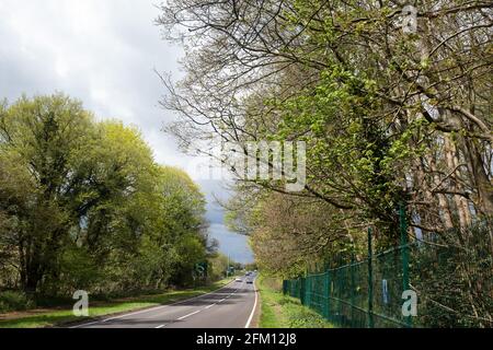 Wendover, Regno Unito. 4 maggio 2021. Vista degli alberi lungo la A413. Grandi aree di terreno sono attualmente in via di eliminazione di alberi e vegetazione intorno a Wendover nel Chilterns AONB in preparazione per il collegamento ferroviario ad alta velocità HS2, con alcuni lavori recentemente in corso dopo il buio. Gli attivisti contrari all'HS2 occupano il campo di resistenza attivo di Wendover sul lato opposto dell'A413. Credit: Mark Kerrison/Alamy Live News Foto Stock