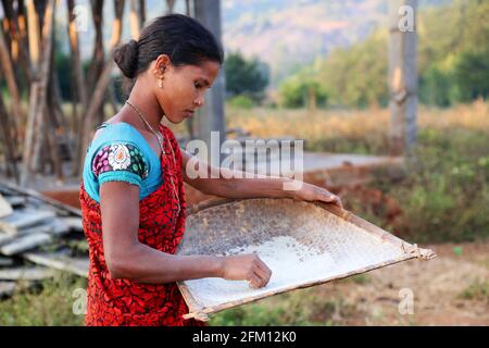 Donna tribale con padella da vino al villaggio di Korrakothavalasa ad Araku, Andhra Pradesh, India. TRIBÙ KONDHU Foto Stock