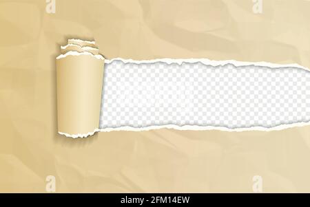 Carta bruna arricciata con bordo arrotolato Illustrazione Vettoriale