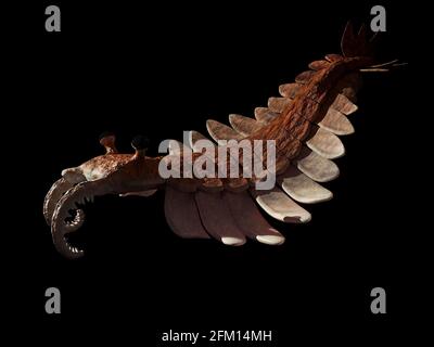 Anomalocaris, creatura del periodo Cambriano, isolato su sfondo nero Foto Stock