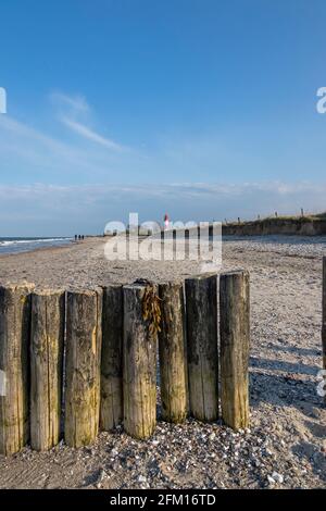 groyne, spiaggia e faro, Falshöft, Gelting Bay, Schleswig-Holstein, Germania Foto Stock