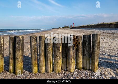 groyne, spiaggia e faro, Falshöft, Gelting Bay, Schleswig-Holstein, Germania Foto Stock