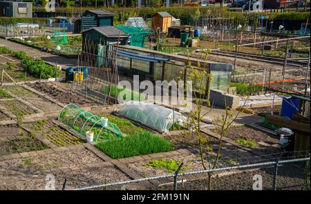 Vista panoramica dei giardini di assegnazione della città Foto Stock