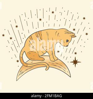 Astrologia sacra del gatto celestiale boho carta d'oro esoterica. Animale della stanza dei bambini seduto sulla luna. Illustrazione Vettoriale