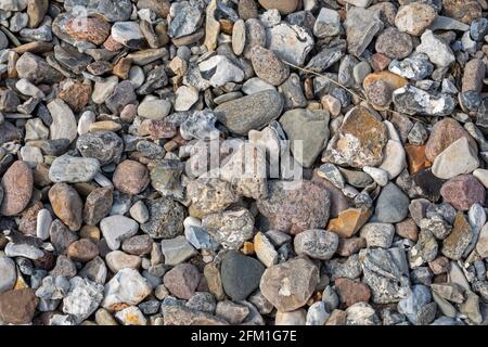 Ciottoli sulla spiaggia, Falshöft, Gelting Bay, Schleswig-Holstein, Germania Foto Stock