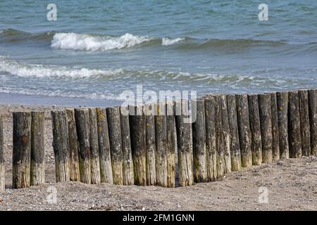 groyne sulla spiaggia, Falshöft, Gelting Bay, Schleswig-Holstein, Germania Foto Stock