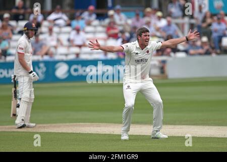 Jamie Overton di Somerset con un appello per un wicket durante Essex CCC vs Somerset CCC, Specsavers County Championship Division 1 Cricket at the Cloud Foto Stock