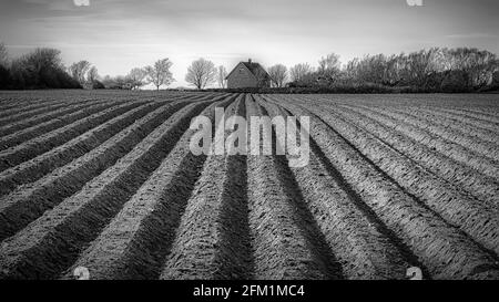 Un campo appena arato in Svezia pronto per la semina. Foto Stock