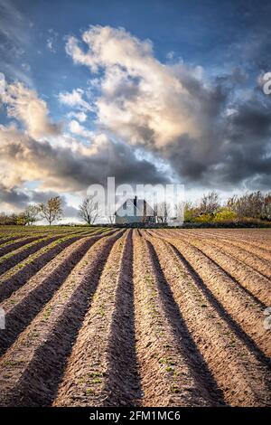 Un campo appena arato in Svezia pronto per la semina. Foto Stock