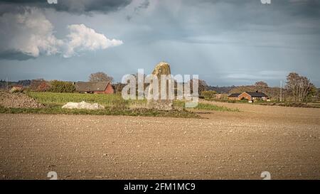 Una pietra unica nella campagna svedese Foto Stock