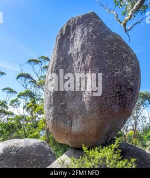 Balancing Rock 6 metri-alto masso di granito sulla roccia del Castello Walk Trail Porongurup National Park, Australia occidentale Foto Stock