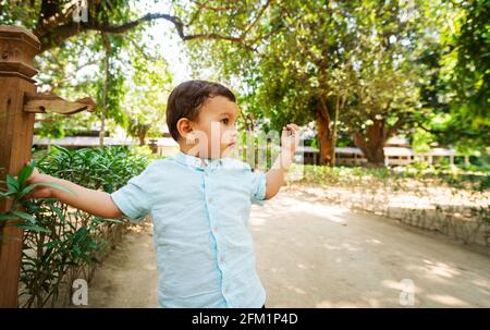 Piccolo ragazzo nello splendido parco subtropicale, bambino che indossa una camicia blu chiaro Foto Stock