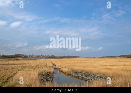 Villaggio di vacanze Reetdorf Geltinger Birk e waterlogging, Gelting Birk Riserva Naturale, Gelting Bay, Schleswig-Holstein, Germania Foto Stock