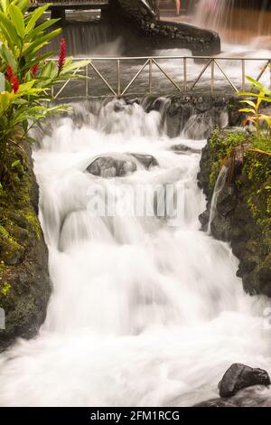 Piscine di acqua termale e fiumi di sorgente calda non pompati (che scorrono liberamente) ai piedi del vulcano Arenal, vicino a la Fortuna, Costa Rica Foto Stock