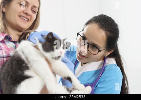 Veterinario medico esamina un gatto orecchie in clinica Foto Stock