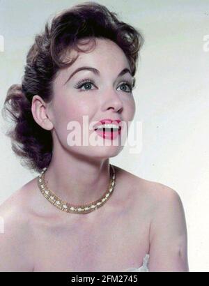 ANN BLYTH attrice e cantante americana circa 1950 Foto Stock