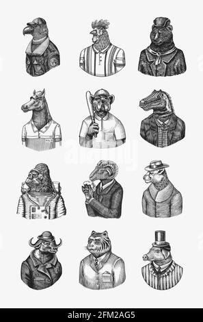 Astronauta di scimmia Gorilla. Pilota di aviatore di aquila Gallo Dinosaur Pig Tiger Bear Sheep Buffalo Bull Horse Cheetah. Cane bulldog baseball giocatore di tennis Illustrazione Vettoriale