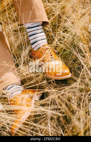 I piedi dello sposo in pantaloni marroni, i calzini a righe e le scarpe marroni giacciono sull'erba asciutta Foto Stock