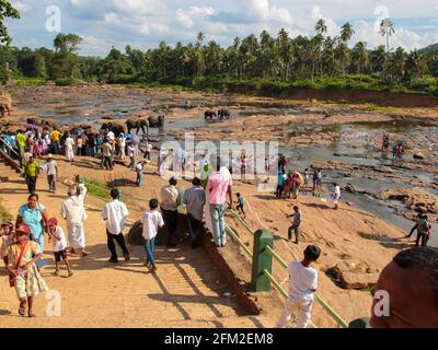 I turisti, la gente si riuniscono presso il fiume Oya per guardare il bagno quotidiano degli elefanti. Presso il centro di Orfanotrofio degli Elefanti di Pinnawala in Sri Lanka. Foto Stock