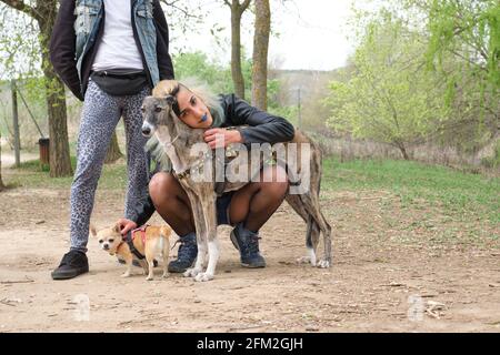 Giovane coppia punk con i suoi cani in un parco. Cani Greyhound e chihuahua. Foto Stock