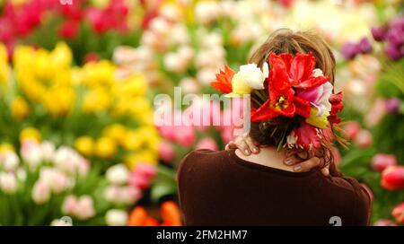 Sara Turner del Bloms Bulbs Primrose Nursery mostra fixes una disposizione floreale nei suoi capelli durante gli ultimi pochi Ore di preparazione al Chelsea Flower Show che apre Domani.19 Maggio 2002 foto Andy Paradise Foto Stock