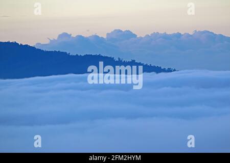 Dawn sopra il parco con nuvola bassa nella valle Kerinci Seblat NP, Sumatra, Indonesia Giugno Foto Stock