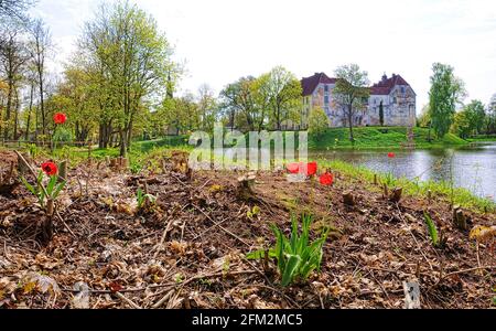 Il castello di Jaunpils è un castello fortificato di Zemgale, in Lettonia Foto Stock