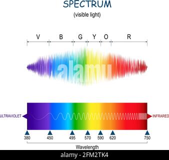 spettro. Luce visibile. Diagramma vettoriale. Scala dei colori da ultravioletti a infrarossi. Infografica dello spettro dei colori della luce solare Illustrazione Vettoriale