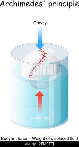 Galleggiabilità e principio di Archimede. Palla che galleggia in un bicchiere. Esperimento in fisica lezione. Diagramma vettoriale Illustrazione Vettoriale