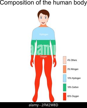 I principali elementi che compongono il corpo umano (ossigeno, carbonio, idrogeno e azoto). Percentuale. Illustrazione vettoriale per l'istruzione Illustrazione Vettoriale