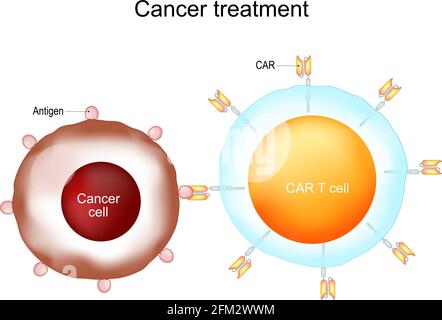 Trattamento del cancro e terapia DELLE cellule T DELL'AUTOMOBILE. Cellule T del recettore dell'antigene chimerico. CELLE T AUTO. Vettore Illustrazione Vettoriale