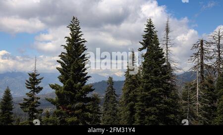 Vista delle montagne della Sierra Nevada meridionale della California dalla Generals Hwy Lungo la strada per il Parco Nazionale delle sequoie Foto Stock
