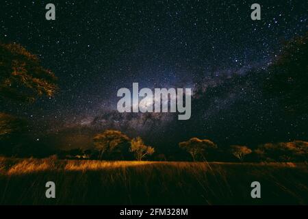 Via Lattea cielo notturno sulle pianure africane, Namibia Foto Stock