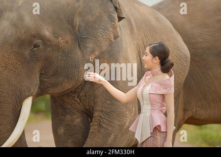 Sorridente bella donna che sta per dare un colpo ad un elefante, Thailandia Foto Stock