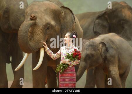 Bella donna che tiene un mazzo di fiori che stropicciano un elefante, Thailandia Foto Stock