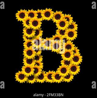 Lettera maiuscola B fatta di girasoli gialli isolati su sfondo nero. Elemento di progettazione per i progetti di concetti di amore. Ideale per le mamme giorno e s. Foto Stock